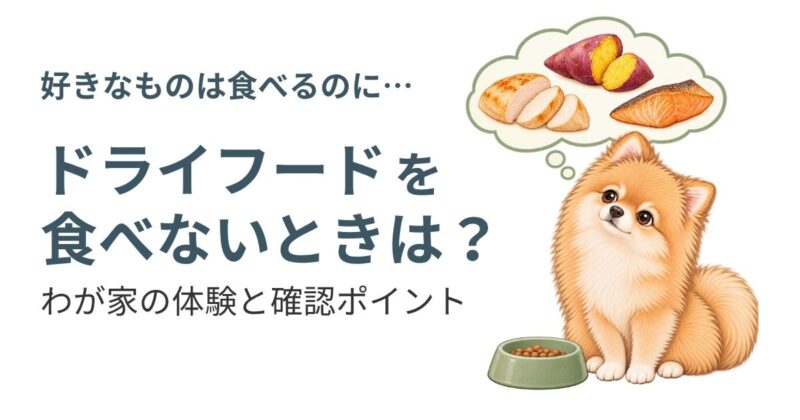 ドライフードを残し、チキン・サツマイモ・魚を思い浮かべる茶色のポメラニアンと「ドライフードを食べないときは？」の見出し