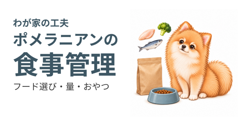 「ポメラニアンの食事管理」の見出しと、茶色のポメラニアン、フードの袋・器、肉・魚・野菜のイラスト